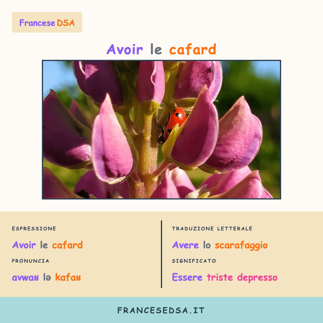 Illustrazione modo di dire francese: Avoir le cafard - Essere triste, depresso