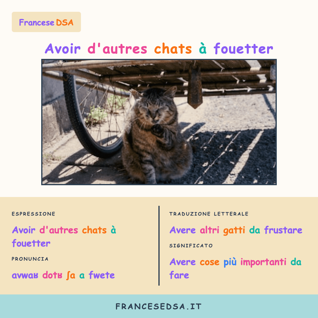 Illustrazione modo di dire francese: Avoir d'autres chats à fouetter - Avere cose più importanti da fare