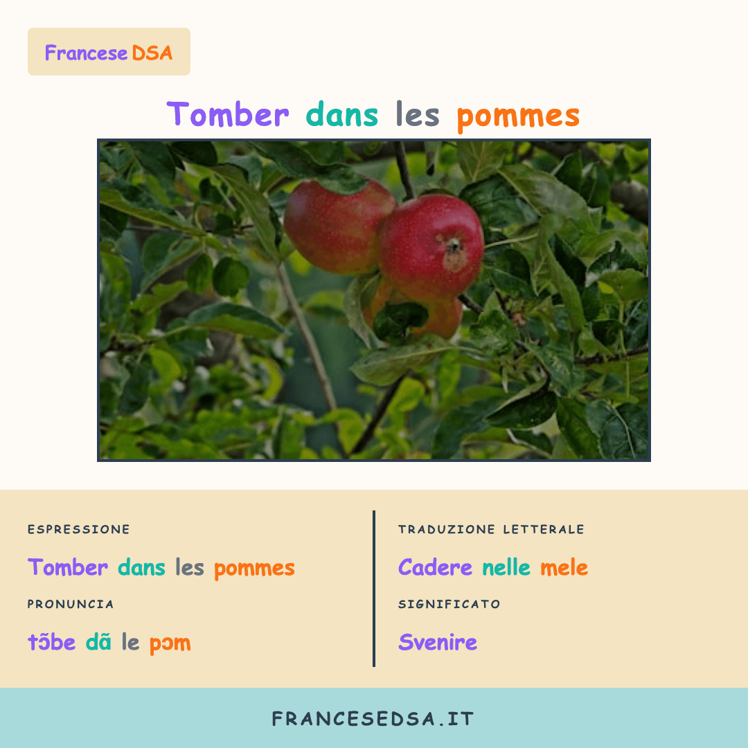 Illustrazione modo di dire francese: Tomber dans les pommes - Svenire
