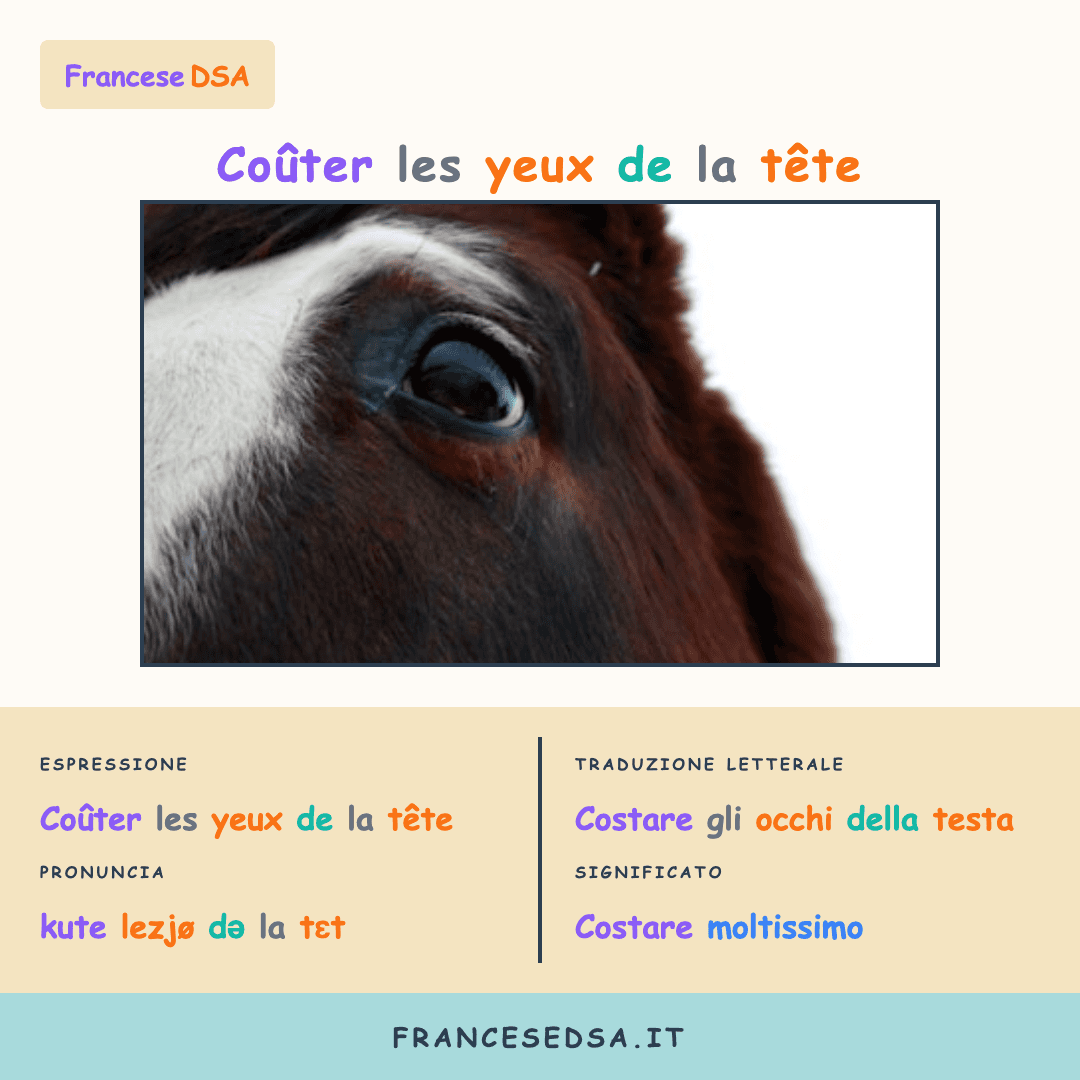 Illustrazione modo di dire francese: Coûter les yeux de la tête - Costare moltissimo