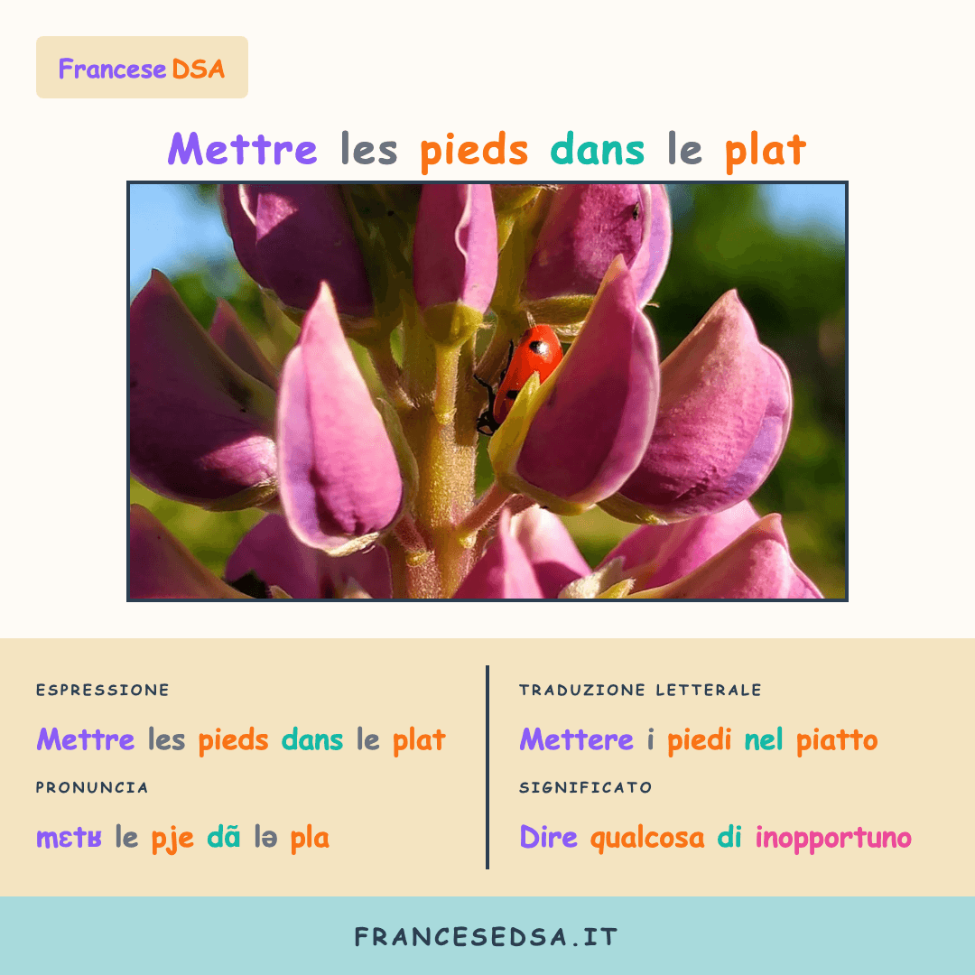 Illustrazione modo di dire francese: Mettre les pieds dans le plat - Dire qualcosa di inopportuno