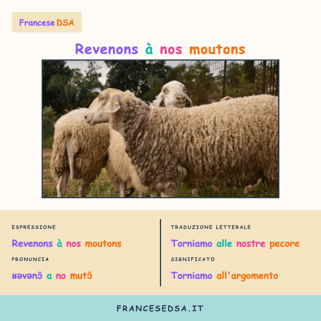 Illustrazione modo di dire francese: Revenons à nos moutons - Torniamo all'argomento