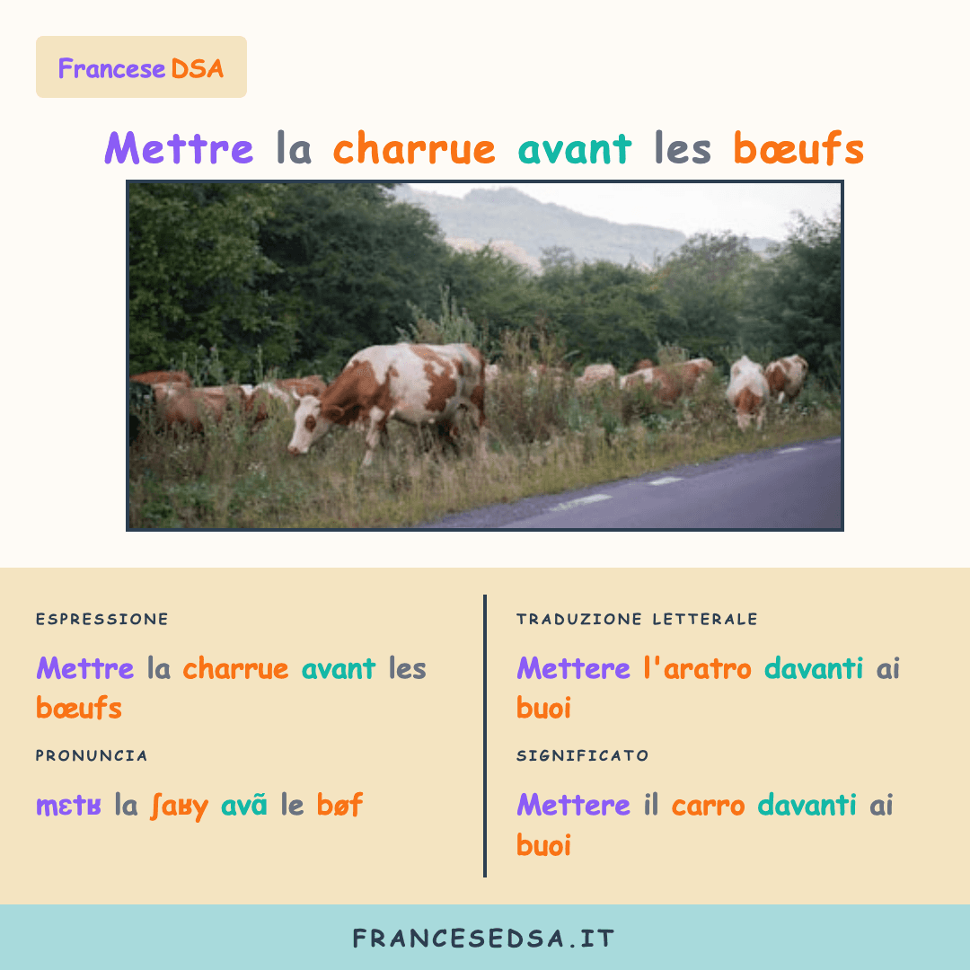 Illustrazione modo di dire francese: Mettre la charrue avant les bœufs - Mettere il carro davanti ai buoi