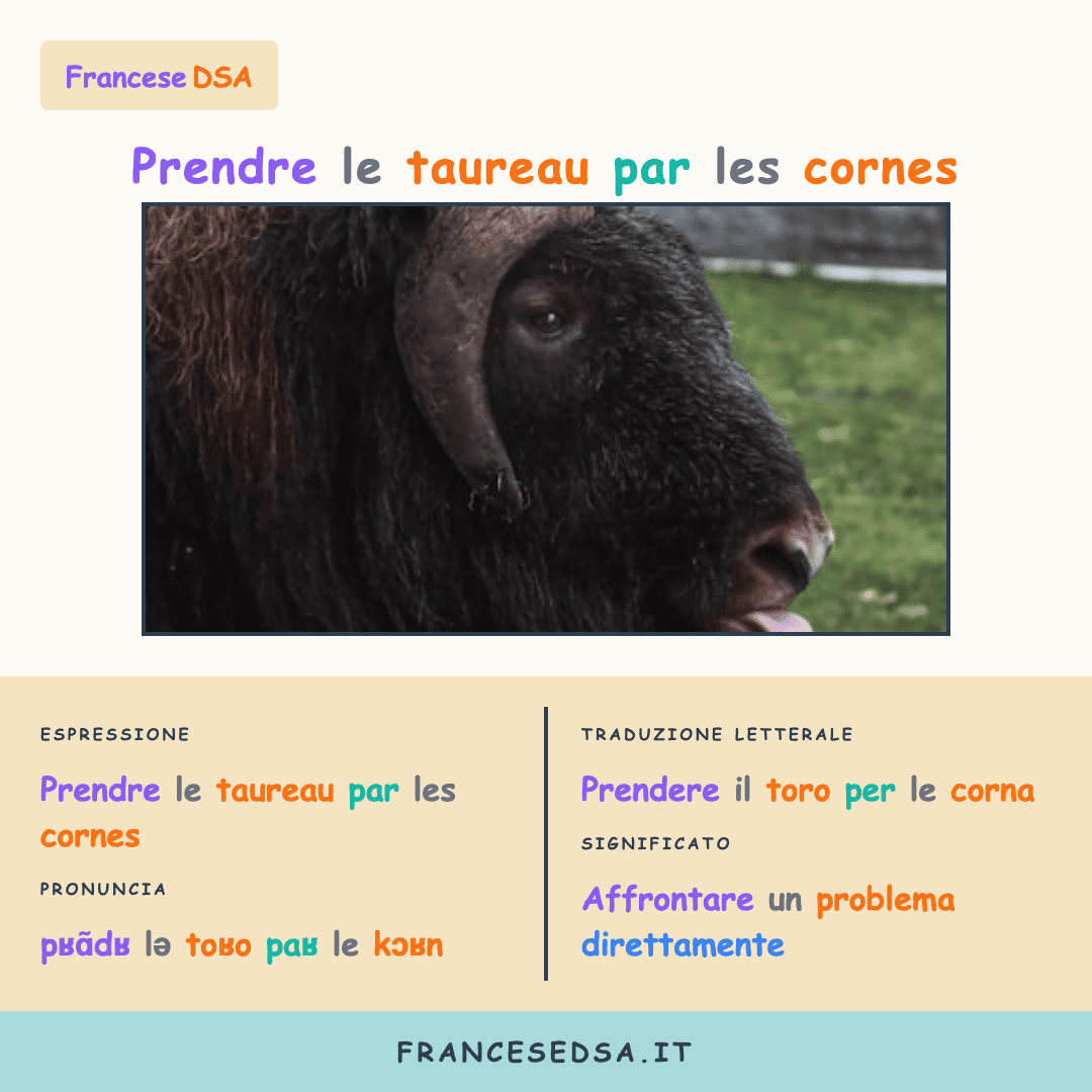 Illustrazione modo di dire francese: Prendre le taureau par les cornes - Affrontare un problema direttamente