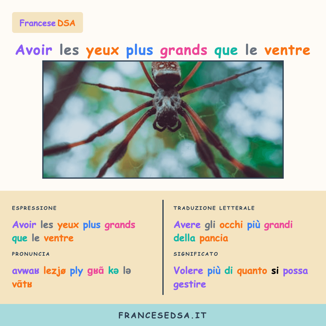 Illustrazione modo di dire francese: Avoir les yeux plus grands que le ventre - Volere più di quanto si possa gestire