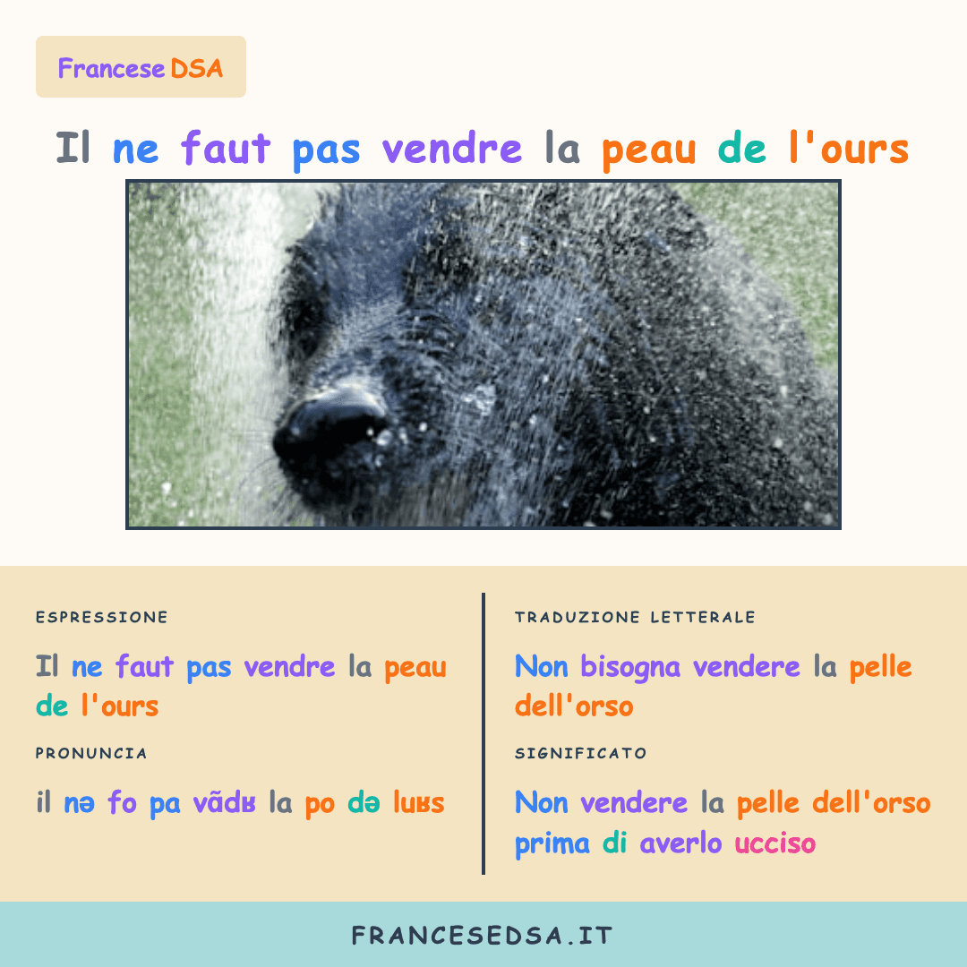 Illustrazione modo di dire francese: Il ne faut pas vendre la peau de l'ours - Non vendere la pelle dell'orso prima di averlo ucciso